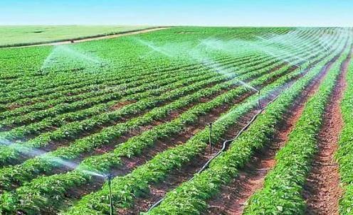 在线激情插b农田高 效节水灌溉